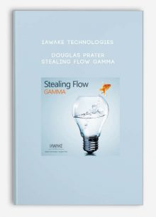 iAwake Technologies - Douglas Prater - Stealing Flow Gamma
